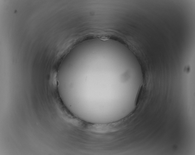 X0000114670041200910211019