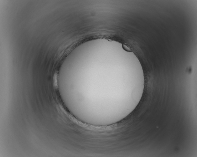 X0000114670042200910211019