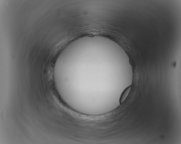 X0000114670043200910211019