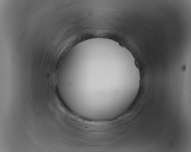 X0000114670044200910211019