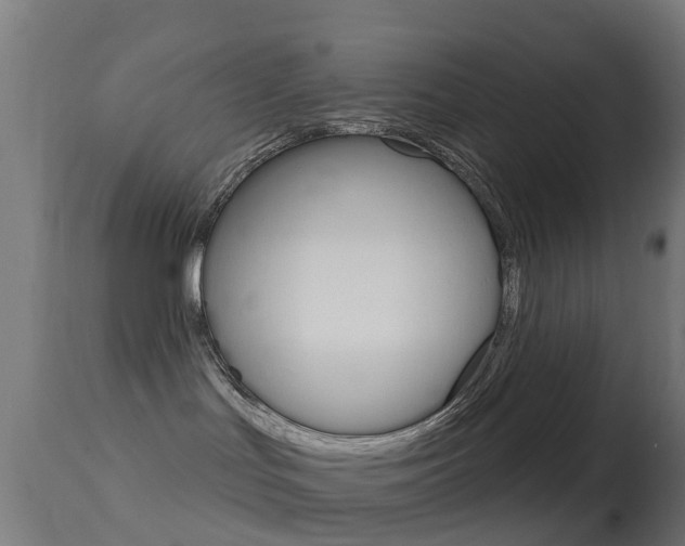 X0000114670047200910211019
