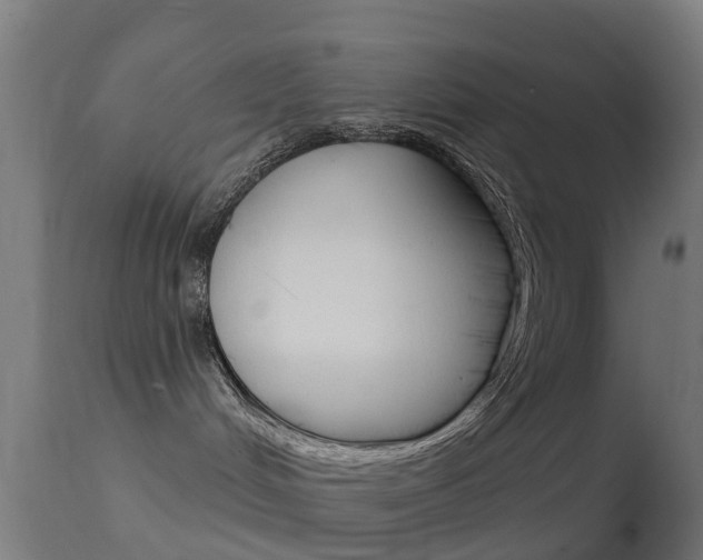 X0000114670048200910211019