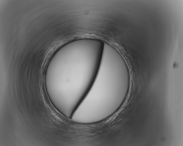 X0000114670049200910211018