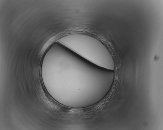 X0000114670051200910211018