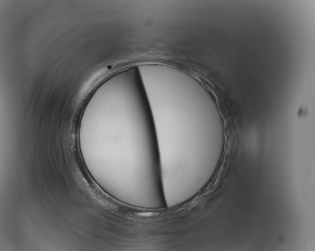 X0000114670053200910211018