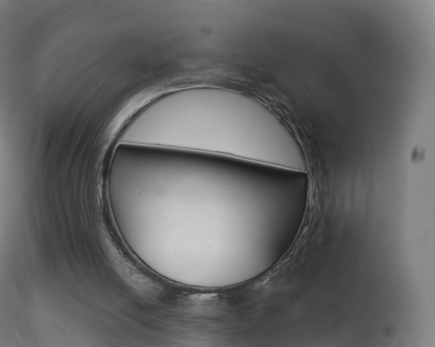 X0000114670054200910211018
