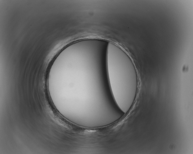 X0000114670055200910211018