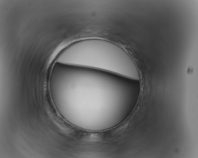 X0000114670056200910211018