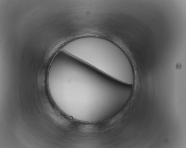 X0000114670058200910211018