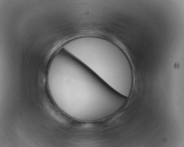 X0000114670059200910211018