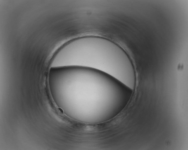 X0000114670060200910211018
