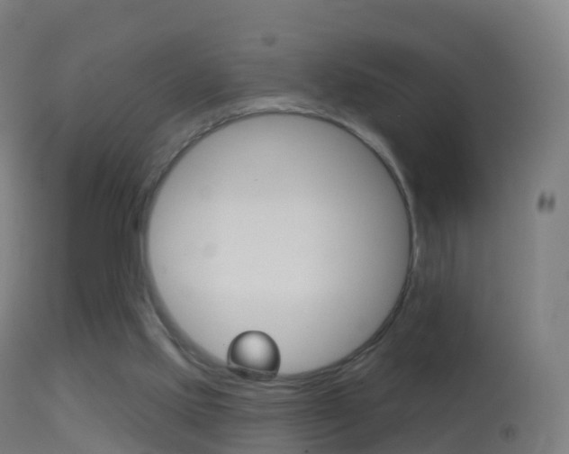 X0000114670061200910211018