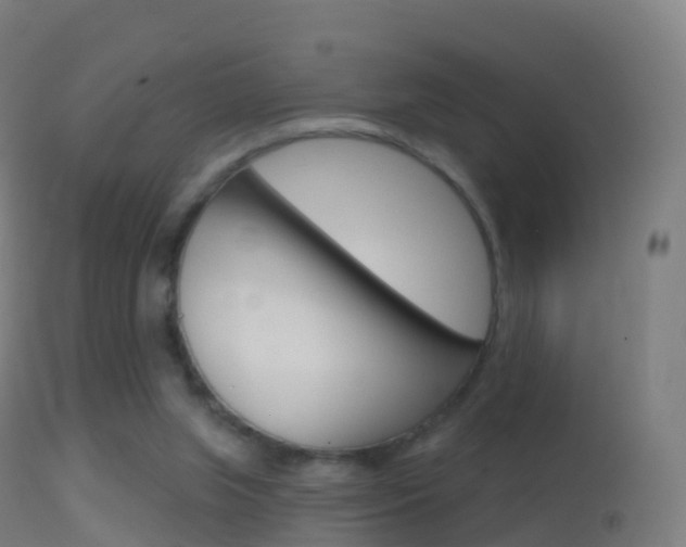 X0000114670063200910211018