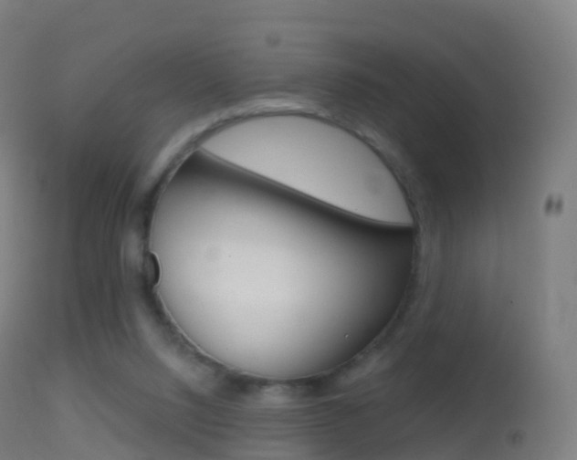 X0000114670064200910211018