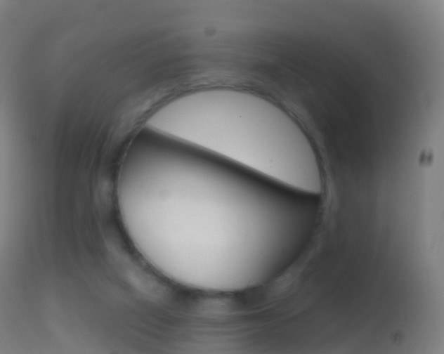 X0000114670066200910211018