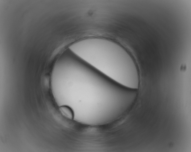X0000114670067200910211018