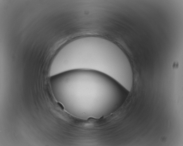 X0000114670068200910211018