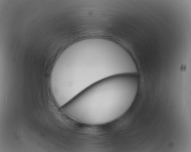 X0000114670069200910211019