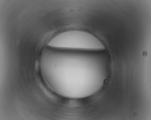 X0000114670070200910211019