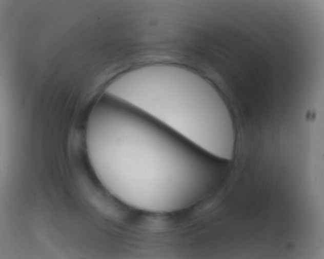 X0000114670071200910211019