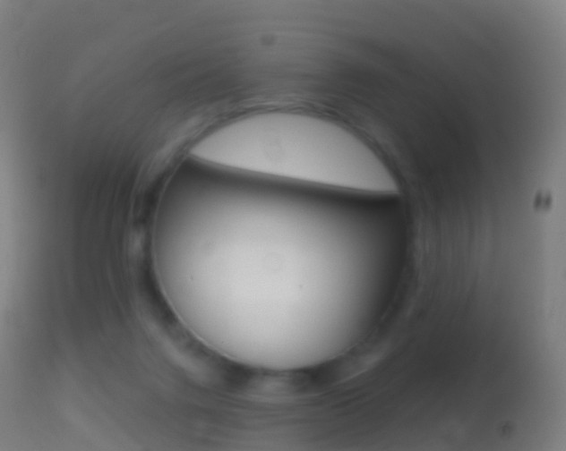 X0000114670072200910211019