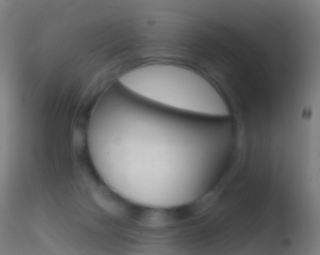 X0000114670074200910211019