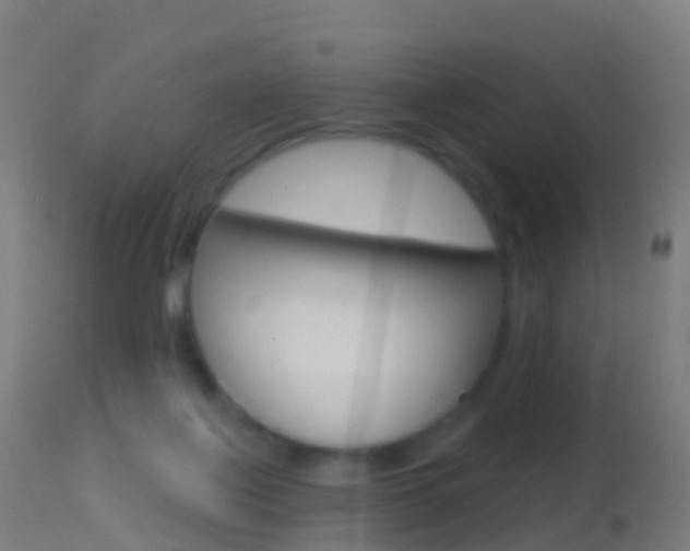 X0000114670075200910211019