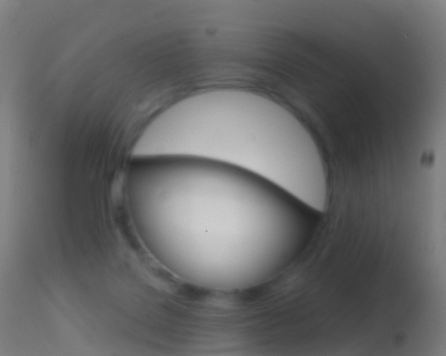 X0000114670076200910211019