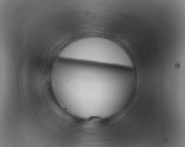 X0000114670077200910211019