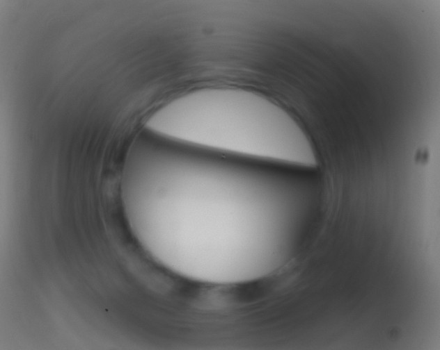 X0000114670078200910211019