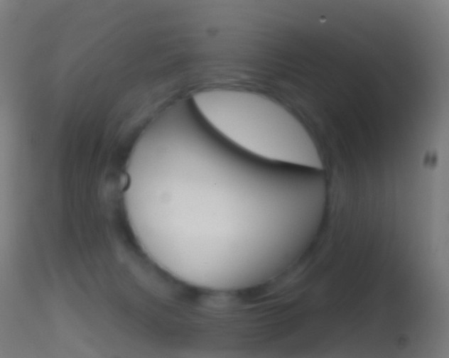 X0000114670079200910211019