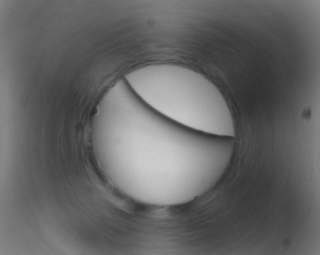 X0000114670083200910211019