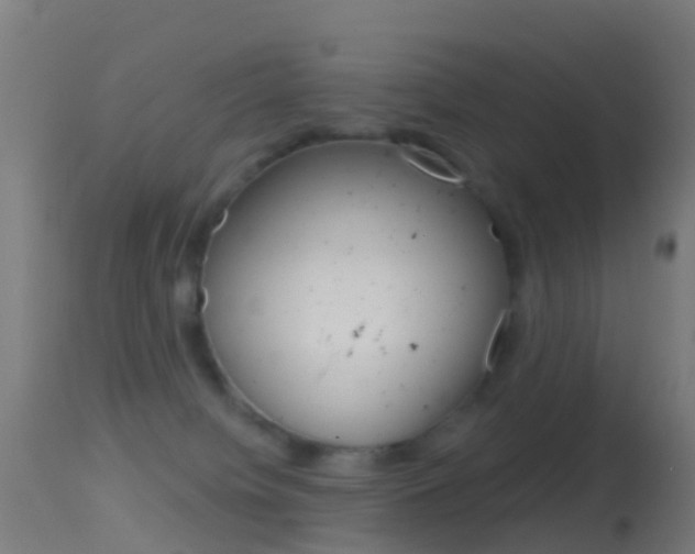 X0000114670084200910211019