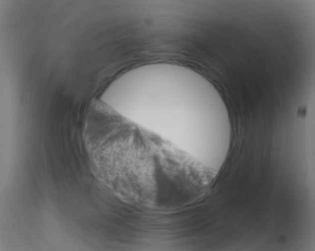 X0000114670085200910211019