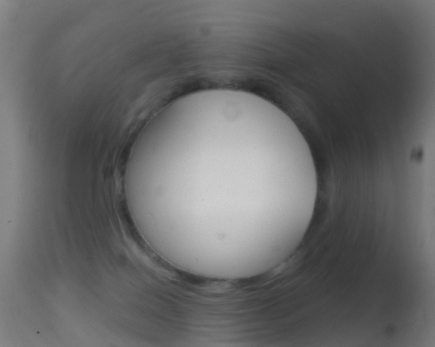 X0000114670086200910211019