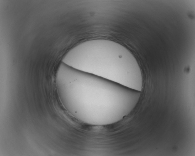 X0000114670087200910211019