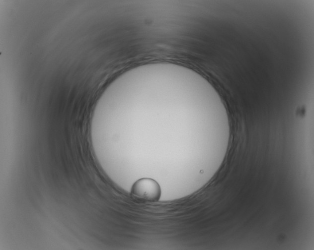 X0000114670088200910211019