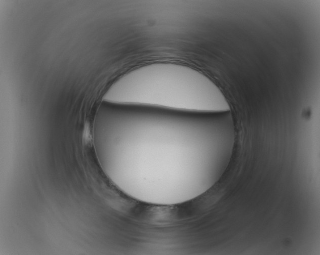 X0000114670089200910211019