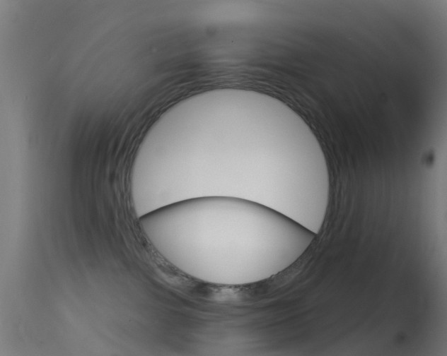 X0000114670091200910211019