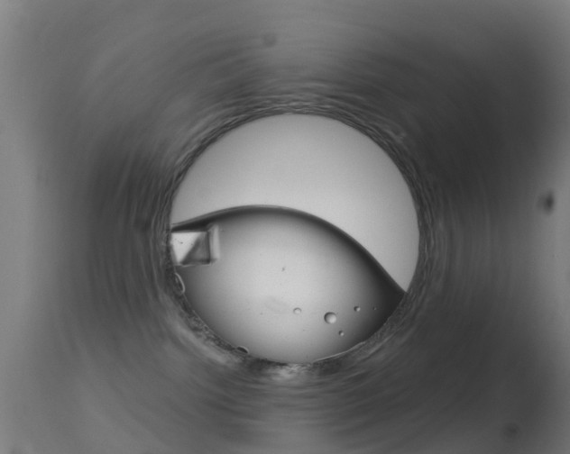 X0000114670092200910211019