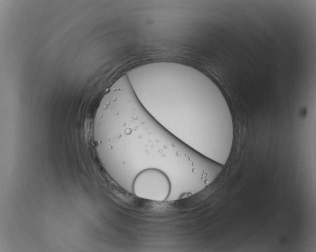 X0000114670093200910211019