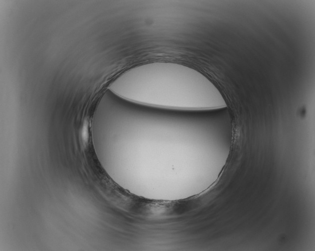 X0000114670094200910211019