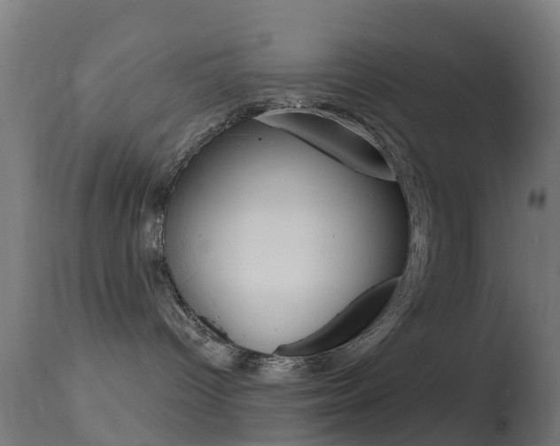 X0000114670096200910211019