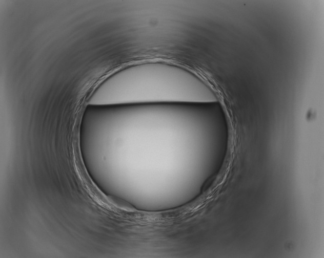 X0000114670097200910211018