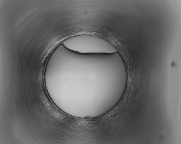 X0000114670098200910211018
