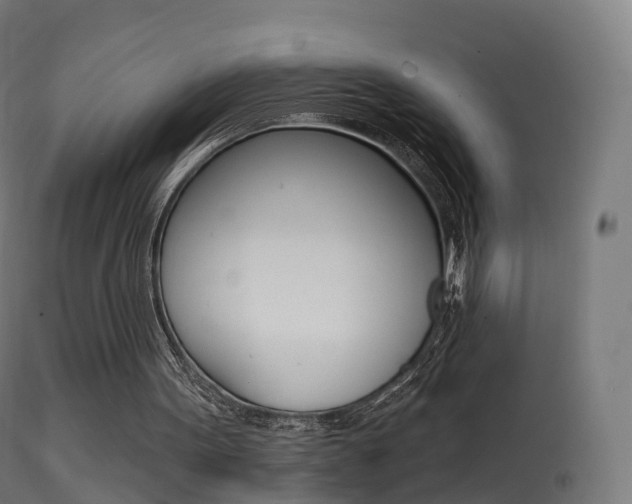 X0000114670099200910211018