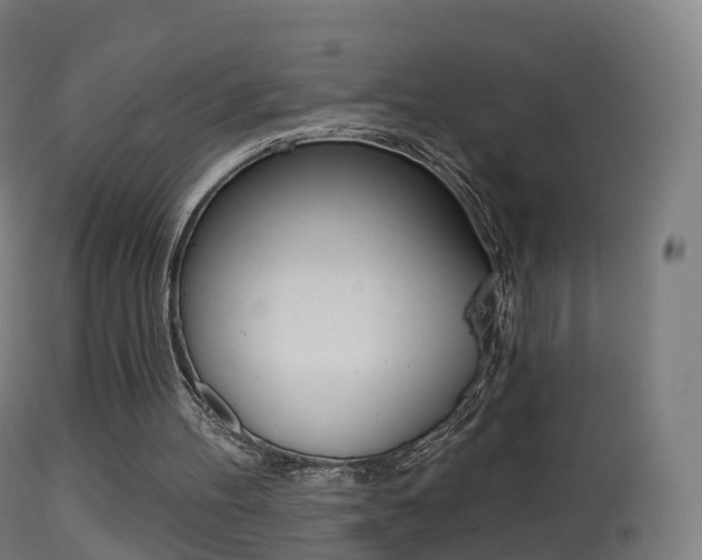 X0000114670100200910211018