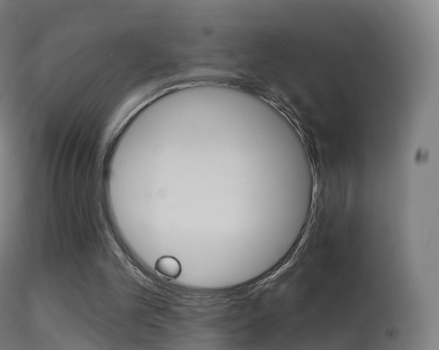 X0000114670101200910211018