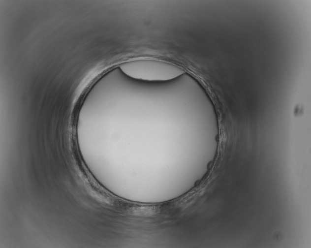 X0000114670102200910211018