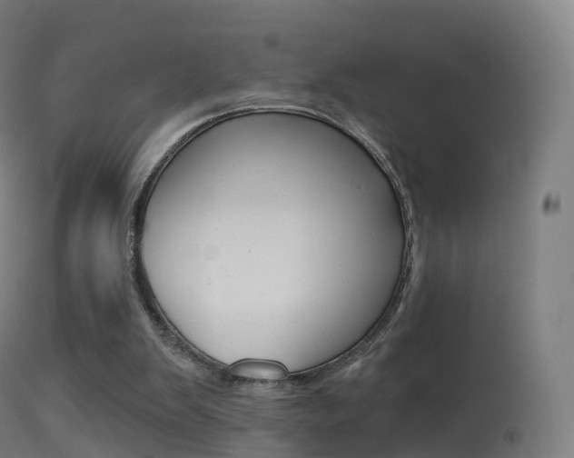 X0000114670103200910211018